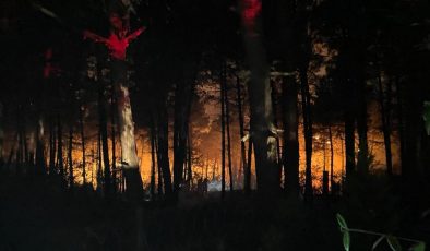 Çekmeköy’de korkutan orman yangını